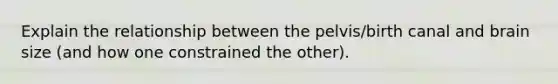 Explain the relationship between the pelvis/birth canal and brain size (and how one constrained the other).