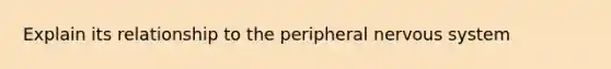 Explain its relationship to the peripheral nervous system