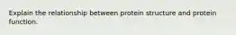 Explain the relationship between protein structure and protein function.