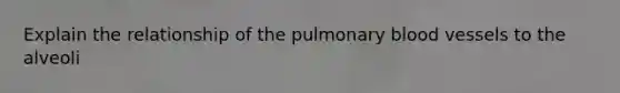 Explain the relationship of the pulmonary blood vessels to the alveoli