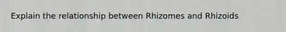 Explain the relationship between Rhizomes and Rhizoids