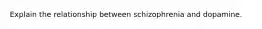 Explain the relationship between schizophrenia and dopamine.