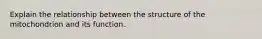 Explain the relationship between the structure of the mitochondrion and its function.