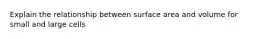 Explain the relationship between surface area and volume for small and large cells