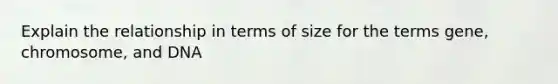 Explain the relationship in terms of size for the terms gene, chromosome, and DNA