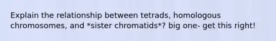 Explain the relationship between tetrads, homologous chromosomes, and *sister chromatids*? big one- get this right!