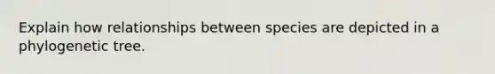 Explain how relationships between species are depicted in a phylogenetic tree.