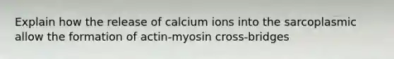 Explain how the release of calcium ions into the sarcoplasmic allow the formation of actin-myosin cross-bridges