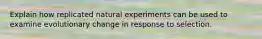 Explain how replicated natural experiments can be used to examine evolutionary change in response to selection.