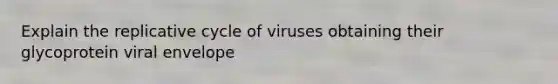 Explain the replicative cycle of viruses obtaining their glycoprotein viral envelope