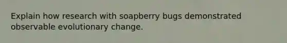 Explain how research with soapberry bugs demonstrated observable evolutionary change.