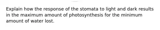 Explain how the response of the stomata to light and dark results in the maximum amount of photosynthesis for the minimum amount of water lost.