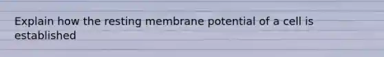 Explain how the resting membrane potential of a cell is established