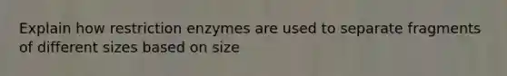 Explain how restriction enzymes are used to separate fragments of different sizes based on size