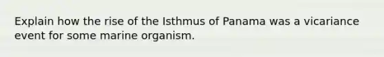 Explain how the rise of the Isthmus of Panama was a vicariance event for some marine organism.