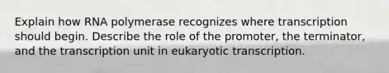 Explain how RNA polymerase recognizes where transcription should begin. Describe the role of the promoter, the terminator, and the transcription unit in eukaryotic transcription.