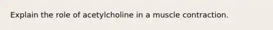 Explain the role of acetylcholine in a muscle contraction.