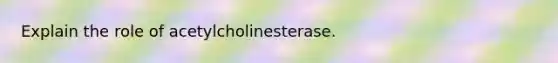 Explain the role of acetylcholinesterase.