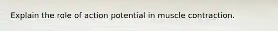 Explain the role of action potential in muscle contraction.