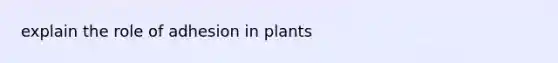 explain the role of adhesion in plants