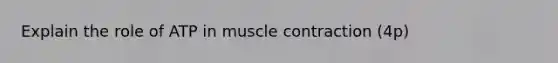 Explain the role of ATP in muscle contraction (4p)