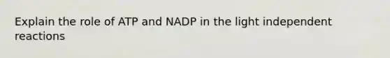 Explain the role of ATP and NADP in the light independent reactions