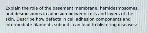 Explain the role of the basement membrane, hemidesmosomes, and desmosomes in adhesion between cells and layers of the skin. Describe how defects in cell adhesion components and intermediate filaments subunits can lead to blistering diseases: