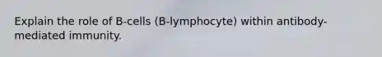 Explain the role of B-cells (B-lymphocyte) within antibody-mediated immunity.