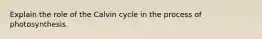 Explain the role of the Calvin cycle in the process of photosynthesis.