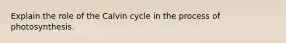 Explain the role of the Calvin cycle in the process of photosynthesis.