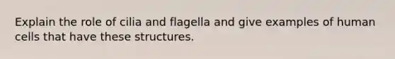 Explain the role of cilia and flagella and give examples of human cells that have these structures.