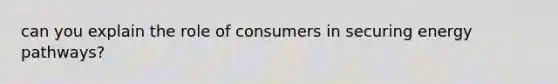 can you explain the role of consumers in securing energy pathways?