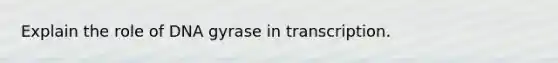 Explain the role of DNA gyrase in transcription.