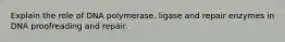 Explain the role of DNA polymerase. ligase and repair enzymes in DNA proofreading and repair.