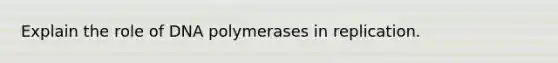 Explain the role of DNA polymerases in replication.