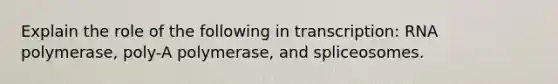 Explain the role of the following in transcription: RNA polymerase, poly-A polymerase, and spliceosomes.