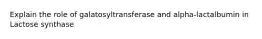 Explain the role of galatosyltransferase and alpha-lactalbumin in Lactose synthase