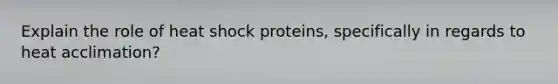 Explain the role of heat shock proteins, specifically in regards to heat acclimation?