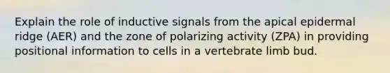 Explain the role of inductive signals from the apical epidermal ridge (AER) and the zone of polarizing activity (ZPA) in providing positional information to cells in a vertebrate limb bud.