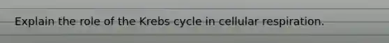 Explain the role of the Krebs cycle in cellular respiration.