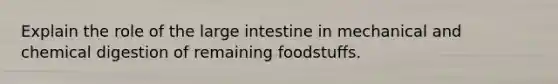 Explain the role of the large intestine in mechanical and chemical digestion of remaining foodstuffs.