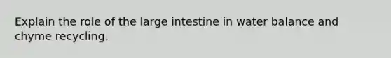 Explain the role of the large intestine in water balance and chyme recycling.