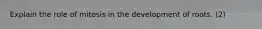 Explain the role of mitosis in the development of roots. (2)