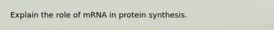 Explain the role of mRNA in protein synthesis.