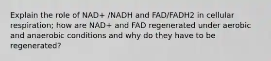 Explain the role of NAD+ /NADH and FAD/FADH2 in cellular respiration; how are NAD+ and FAD regenerated under aerobic and anaerobic conditions and why do they have to be regenerated?