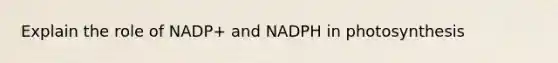 Explain the role of NADP+ and NADPH in photosynthesis