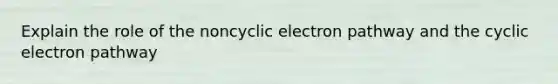 Explain the role of the noncyclic electron pathway and the cyclic electron pathway