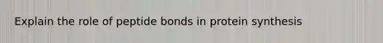 Explain the role of peptide bonds in protein synthesis