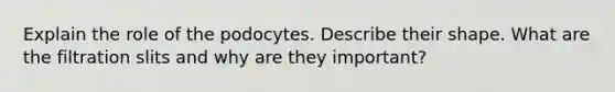 Explain the role of the podocytes. Describe their shape. What are the filtration slits and why are they important?