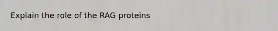 Explain the role of the RAG proteins